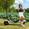 ABD Hisse Senedi Elektrikli Yağ Lastiği Scooter 1500w 48v 20ah, Logosuz Büyük Koltuklu