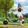 ABD Hisse Senedi Elektrikli Yağ Lastiği Scooter 1500w 48v 20ah, Logosuz Büyük Koltuklu