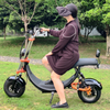 ABD Hisse Senedi Elektrikli Yağ Lastiği Scooter 1500w 48v 20ah, Logosuz Büyük Koltuklu